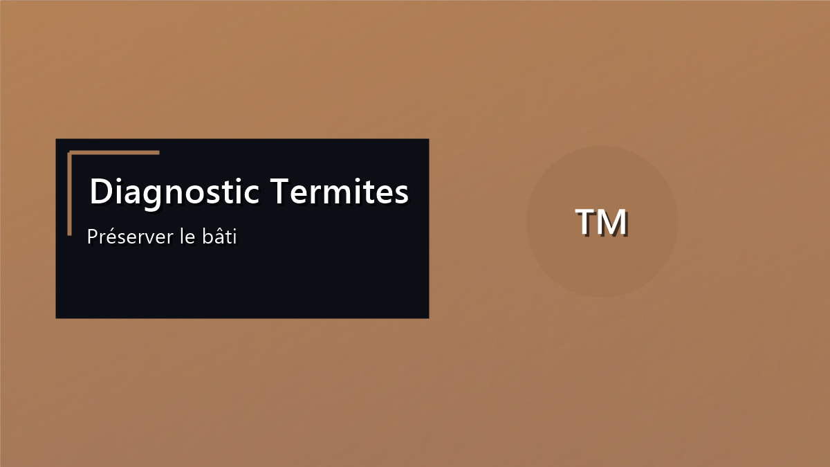 Inspection d une poutre en bois pour détecter les termites